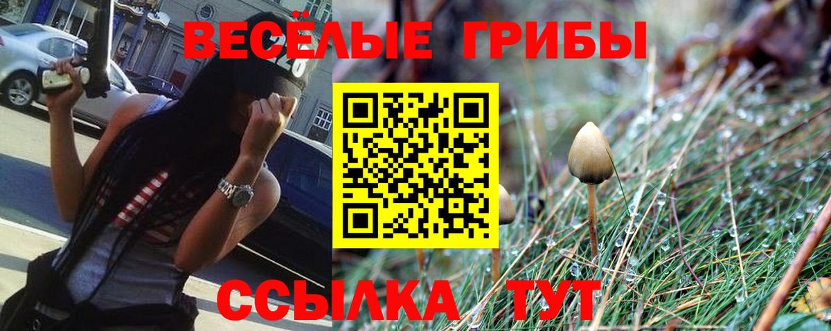 Псилоцибиновые грибы Cubensis  Псилоцибиновые грибы GOLDEN TEACHER  Бийск  Вход с VPN 